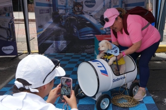 IDRD fortalece la Ciclovía de Bogotá con estaciones tipo “Pit Stop” para el bienestar de las mascotas