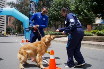 IDRD fortalece la Ciclovía de Bogotá con estaciones tipo “Pit Stop” para el bienestar de las mascotas