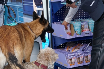 IDRD fortalece la Ciclovía de Bogotá con estaciones tipo “Pit Stop” para el bienestar de las mascotas