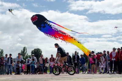 Festival de Cometas