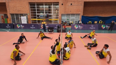 Voleibol sentado
