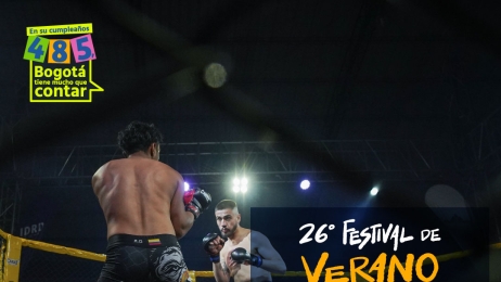 Panamericano de Artes Marciales Mixtas
