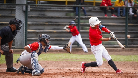 Beisbol