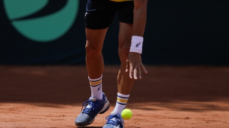 Tenis