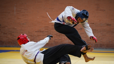 ENTRENAMIENTO HAPKIDO