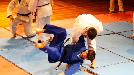 Jiu-jitsu