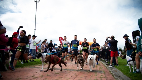 Huellas 5k