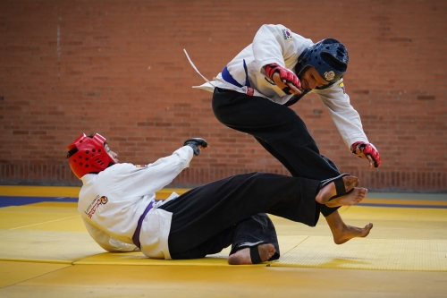 ENTRENAMIENTO HAPKIDO