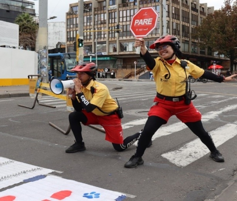 Campañas de Comportamiento vial