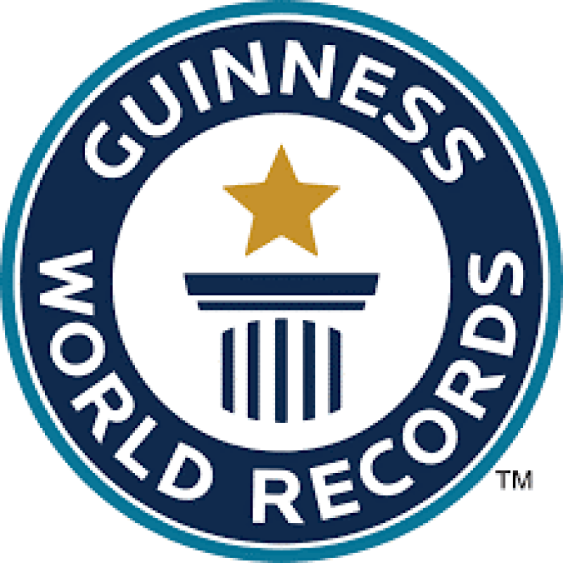 Logo Record guiness 