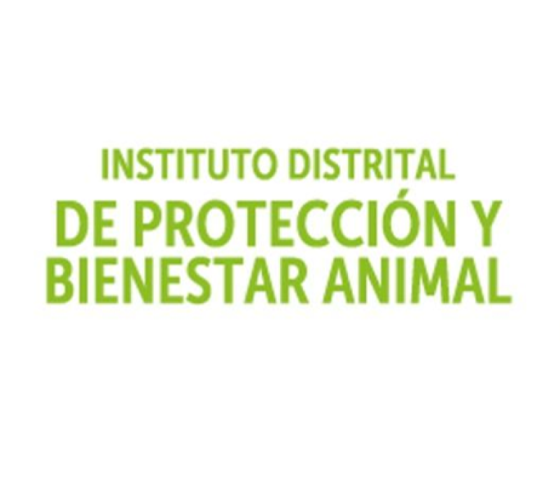 Logo IDPYBA