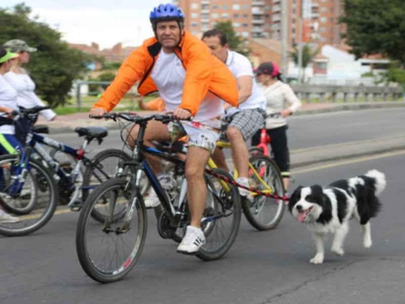 Persona en bicicleta lleva su perro en ciclovía