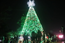 arbol de alumbrado público navideño
