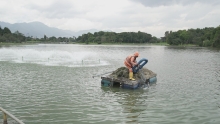 Lago del parque Simón Bolívar