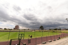 Cancha