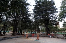 Parque Nacional en recuperación