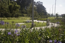 Entrega Parque Estructurante Lineal Ambiental – Unidad de Paisaje Tres