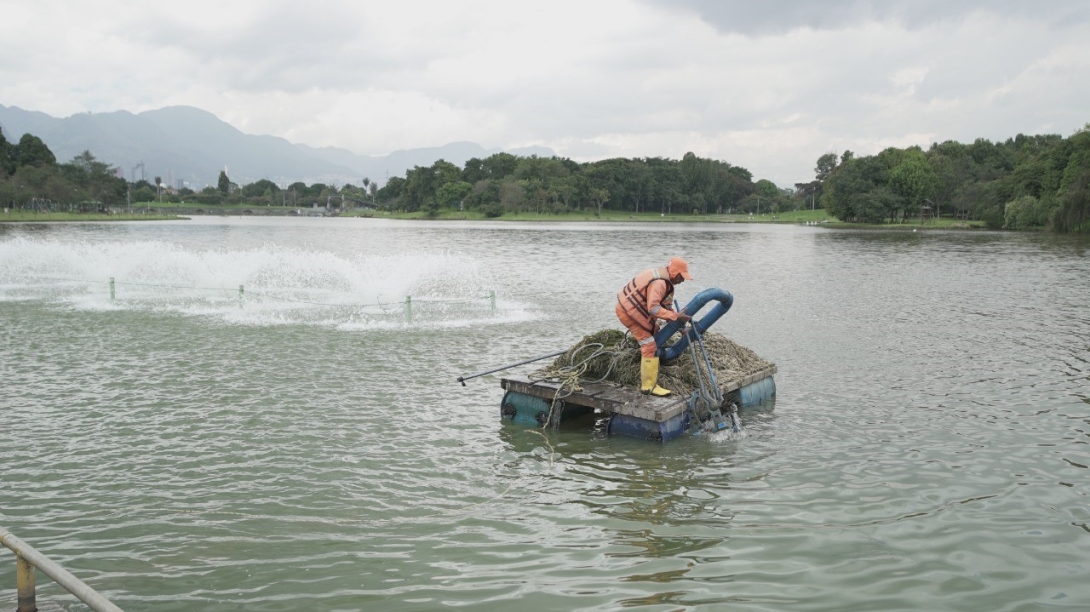 Lago del parque Simón Bolívar